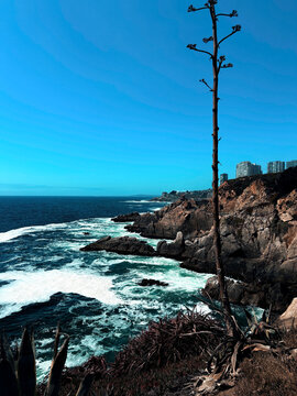 Rocky Coastline in Vi&ntilde;a del Mar, Chile