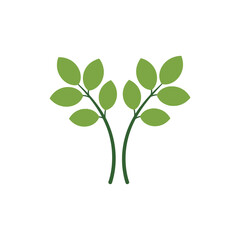 Basil Plant Icon with Two Stems Green Herb Vector Illustration for Cooking