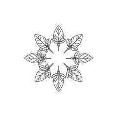Obraz premium Basil Sprigs Radial Arrangement Vector, Simple Leaf Design, Herbal Plant Illustration
