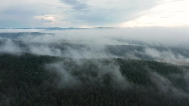 Southern Urals in summer: fog in the mountains. Aerial view.