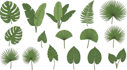 A vibrant collection of diverse tropical foliage illustrations showcasing various exotic leaves perfect for design projects and botanical themes, including monstera, palm, and fern designs