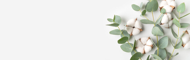 Lush white cotton flowers and green eucalyptus branches on gray background. Beautiful floral background, greeting card. Natural concept, eco-friendly plants. Flat lay top view. Long banner © olgaarkhipenko