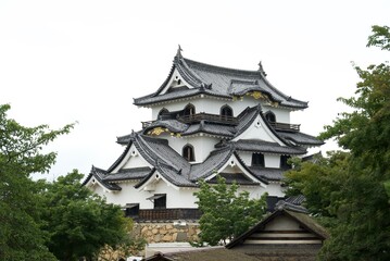 彦根城の天守と新緑に包まれた歴史風景 / Hikone Castle keep surrounded by lush 