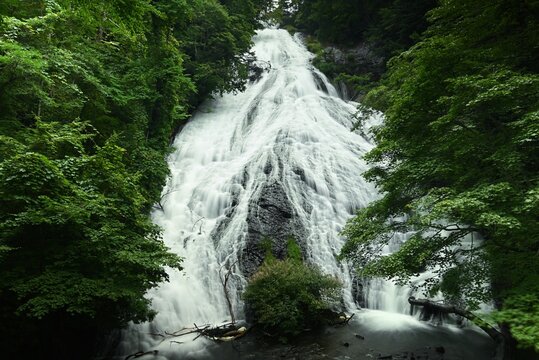 奥日光・湯滝の迫力ある流れと深い森の景観 / Dynamic flow of Yudaki Waterfall surrounded by lush forest in Oku-Nikko