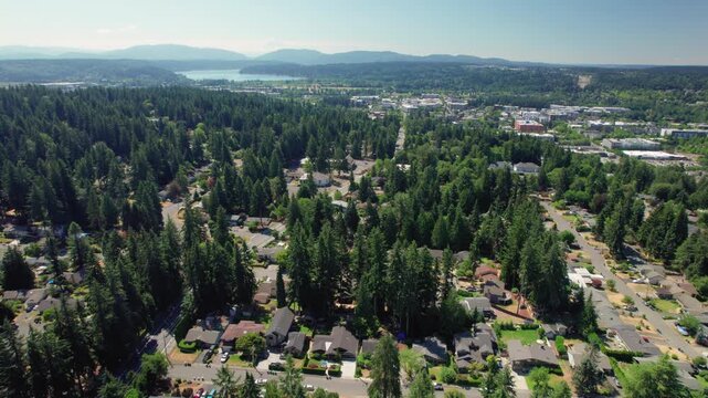 Suburban Community in Dense Forest Trees Aerial View