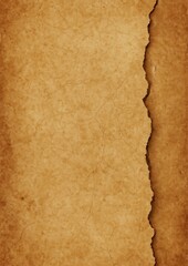 Fototapeta premium Vintage torn paper texture wallpaper