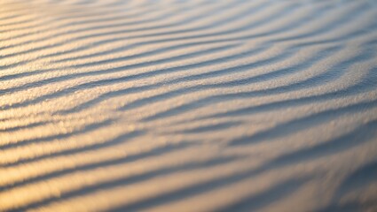 Close-up view of wind-swept sand dunes with intricate ripple patterns and warm golden light.
