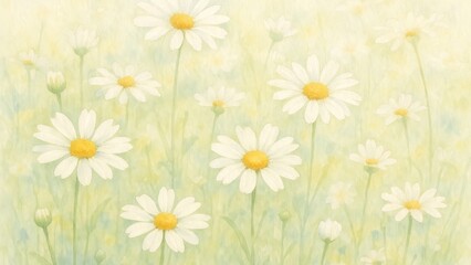 Fototapeta premium Delicate watercolor daisies bloom.