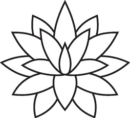 Agave plant symmetric rosette black and white line art top view