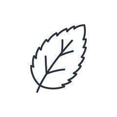 Flat Mint Leaf with Subtle Vein Details Botanical Herbal Vector Illustration © Vector Alchemy 