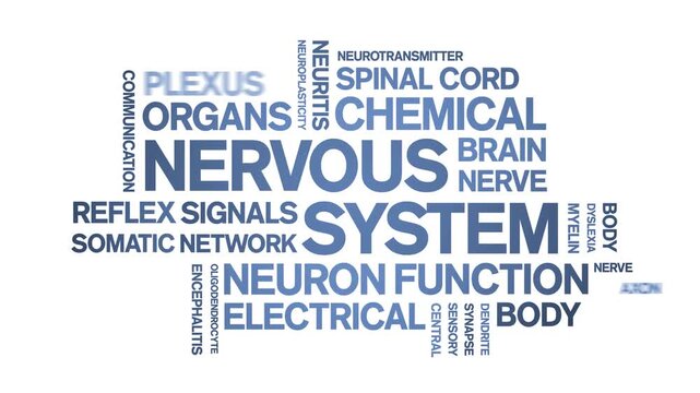 Nervous System animated word cloud-text design animation tag kinetic typography seamless loop.