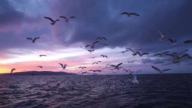 Flock of seagulls fly above ocean waves under a vibrant purple sunset sky with dramatic clouds. Wide shot.