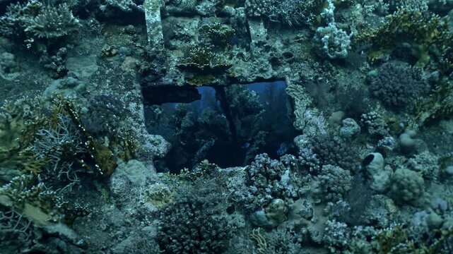 A hauntingly beautiful view of the SS Carnatic shipwreck at the Sha'ab Abu Nuhas reef in the Red Sea. The image highlights the ship's structural remains, specifically a window-like aperture.