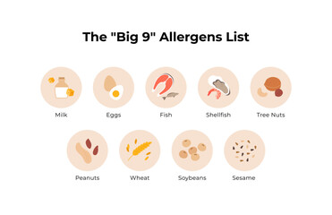 The Big 9 food allergens flat vector icon set. Collection of isolated symbols for milk, eggs, fish, shellfish, tree nuts, peanuts, wheat, soybeans, and sesame in circular frames.