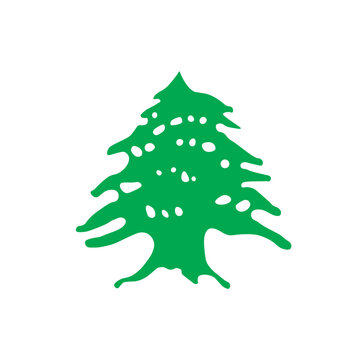 Lebanese Cedar Tree green icon