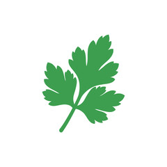 Curly Parsley Leaf Flat Vector Icon Fresh Herb Garden Illustration