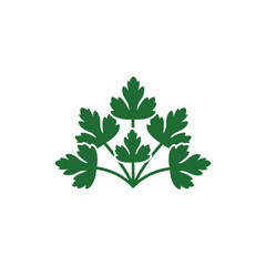 Parsley Leaf Fan Design with Stylized Green Herb Pattern