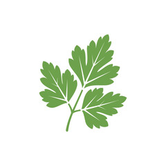 Parsley Leaf Imprint Illustration with Natural Herb Pattern