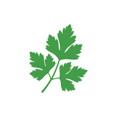 Colorful Parsley Leaves Silhouette Flat Icon Vector Herb Illustration Art