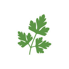 Flat Curly Parsley Sprig Vector Icon Fresh Herb Culinary Garden Illustration