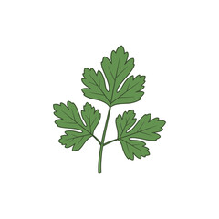 Naklejka premium Parsley Leaves Flat Badge Illustration for Culinary, Organic Herbs, Fresh Green Design
