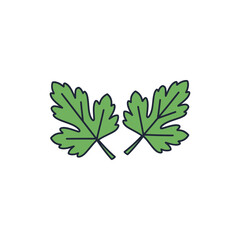 Two Parsley Leaves Vector Illustration, Fresh Green Culinary Herbs Icon