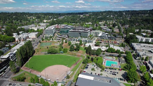 Suburban Town Drone Shot Over Community Park in Summer Season