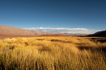 Inmenso valle en rio seco del desierto de Atacama