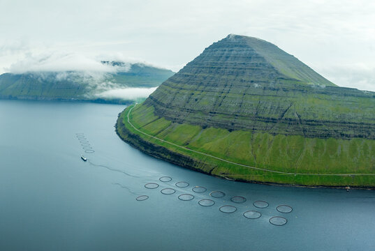 Aerial view of verdant slopes meeting the serene waters, fish farm circles dotting the seascape under a muted sky, Hvannasund, Northern Isles, Faroe Islands.