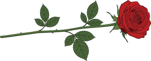 A single red rose with green leaves on a long stem flower © Hey there