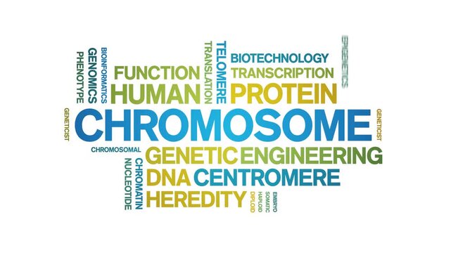 Chromosome animated word cloud-text design animation tag kinetic typography seamless loop.