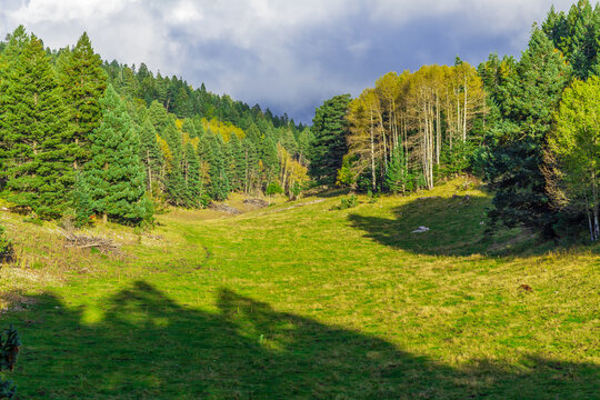 Cloudcroft, New Mexico, USA