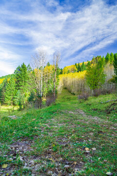 Cloudcroft, New Mexico, USA