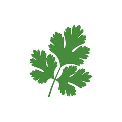 Coriander Herb Leaves Flat Vector Icon Fresh Culinary Plant