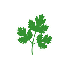 Coriander Leaves Flat Modern Botanical 2D Vector Icon
