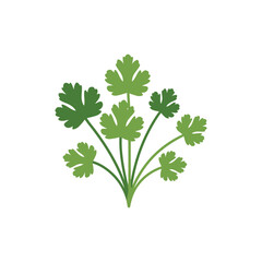 Naklejka premium Coriander Plant Clean Flat Botanical Vector Icon