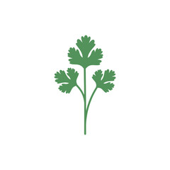Coriander Plant Smooth Flat Vector Icon Design