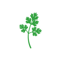 Coriander Plant Stylized Botanical Flat Vector Icon