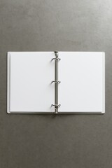 Open binder with blank pages.