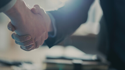 Business handshake in the office