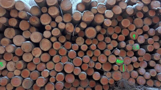 Background of stacked wooden logs with visible circular cuts and snow. Natural wood texture for industrial and environmental concepts.