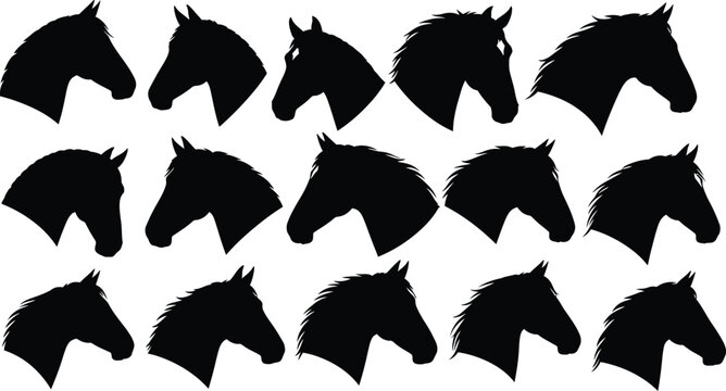 Set of Horse Head Silhouettes Vector Graphics for Equestrian Logo and Design