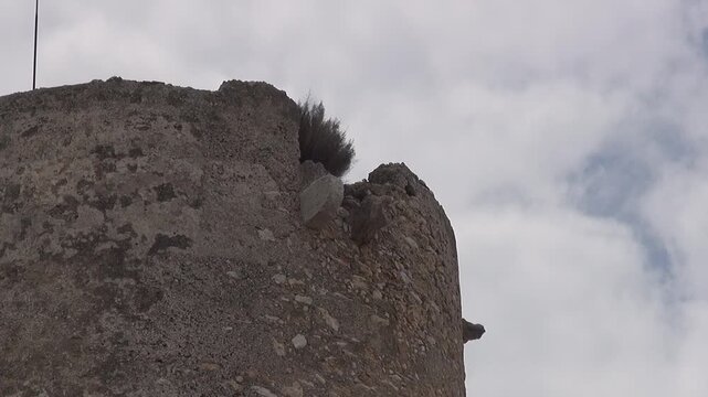 Tower Mora old stone cloudy overcast sky wind medieval historical top plant