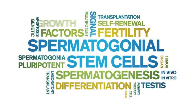 Spermatogonial Stem Cells animated word cloud-gross domestic product animation tag kinetic typography seamless loop.