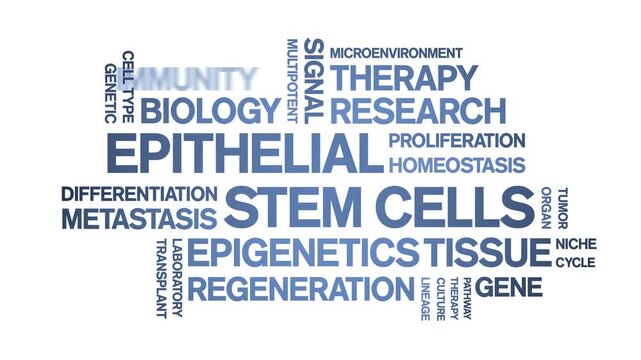 Epithelial Stem Cells animated word cloud-gross domestic product animation tag kinetic typography seamless loop.
