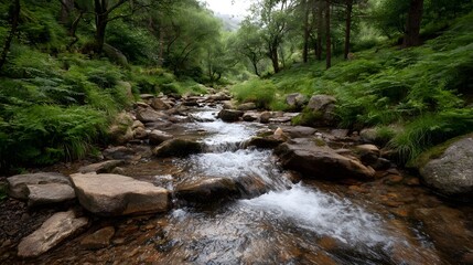 Fototapeta premium A clear stream flows over rocks in a lush green forest on a cloudy day