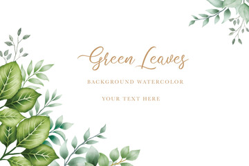 watercolor green leaves background