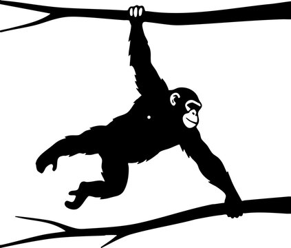 Black Silhouette of Chimpanzee Swinging on Tree Branches