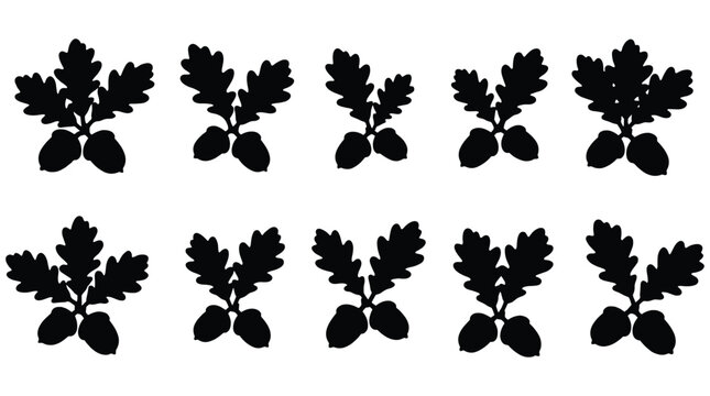 Black silhouettes of oak leaves and acorns on a white background