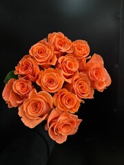 bunch of orange roses on black